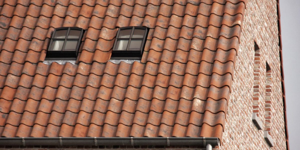 fenêtre de toit en acier patrimoine